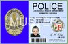 Film Ausweis / ID Card - Los Angeles Police LAPD - Commissioner of LAPD - Ihr Name - Blanko