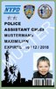 Film-Ausweis / ID Card - Police Department City of New York - Assistant Chief - Ihr Name - Blanko